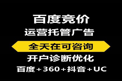 大型企业SEM外包实战案例